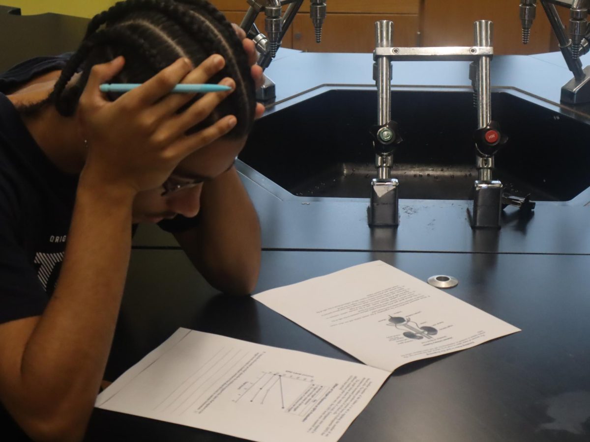Senior Elijah Ramos studying for an exam. 